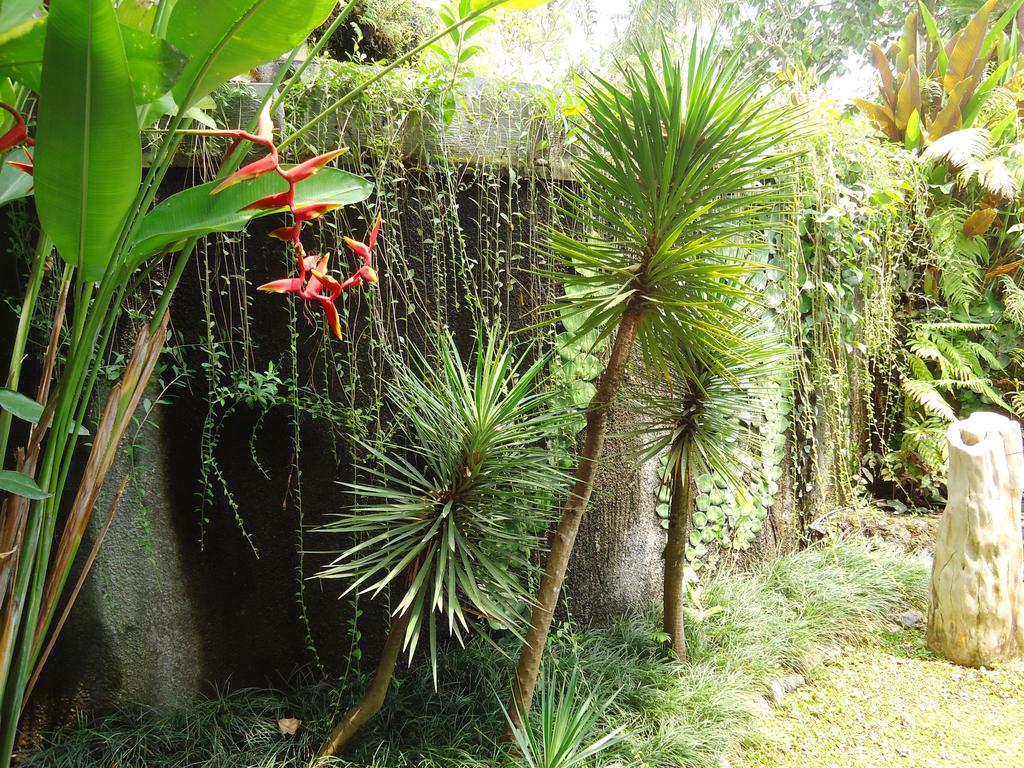 Labak River Hotel By Eps Ubud Esterno foto