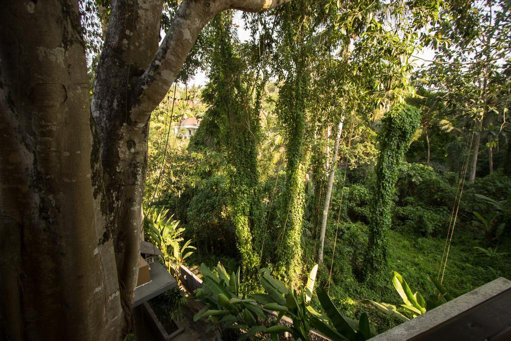 Labak River Hotel By Eps Ubud Esterno foto
